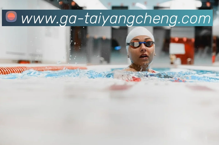 太阳城网站平台生态图