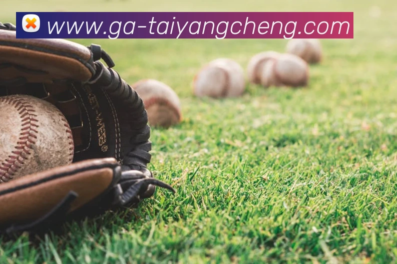 太阳城网站APP 封面图